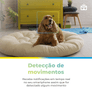 07_SMART_CAMERA_WIFI_COM_BATERIA_1000X1000